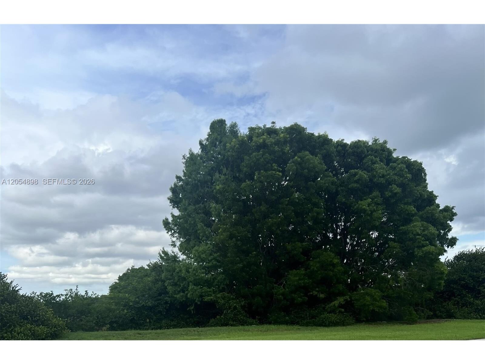Image - 1