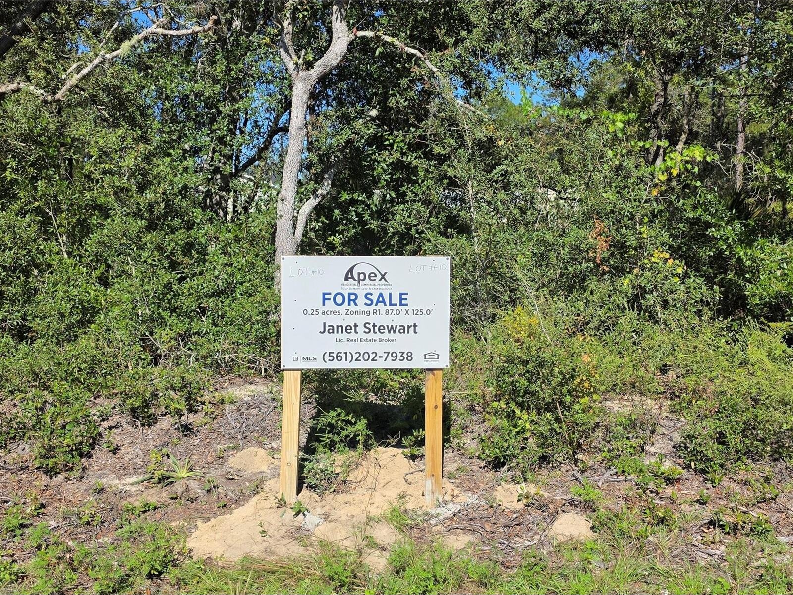 Image - 1