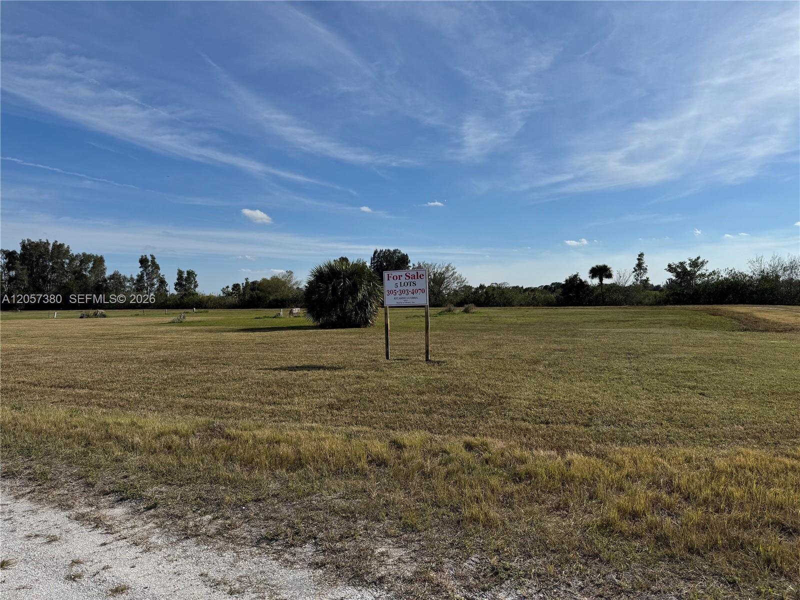 Image - 1