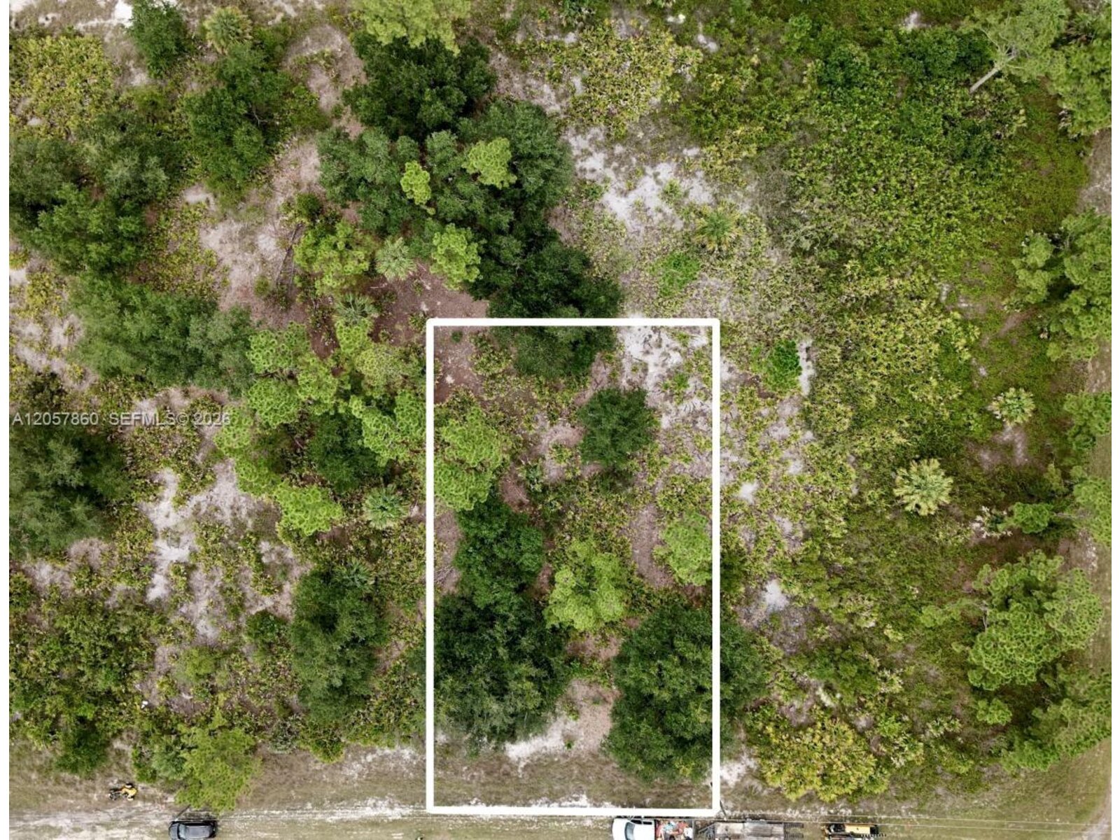 Image - 1