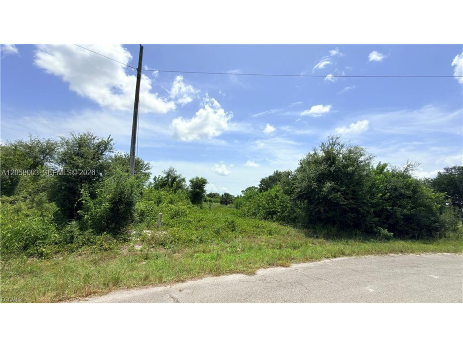 Image - 1