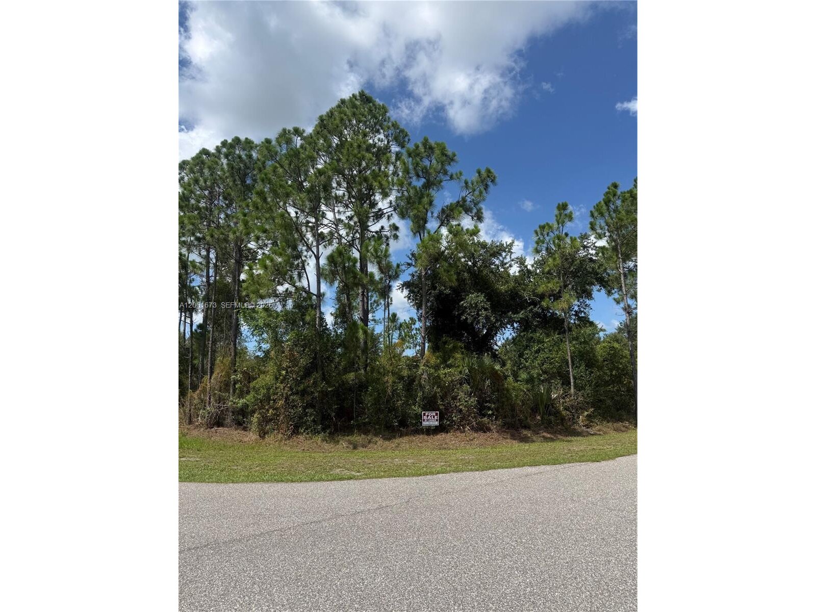 Image - 1