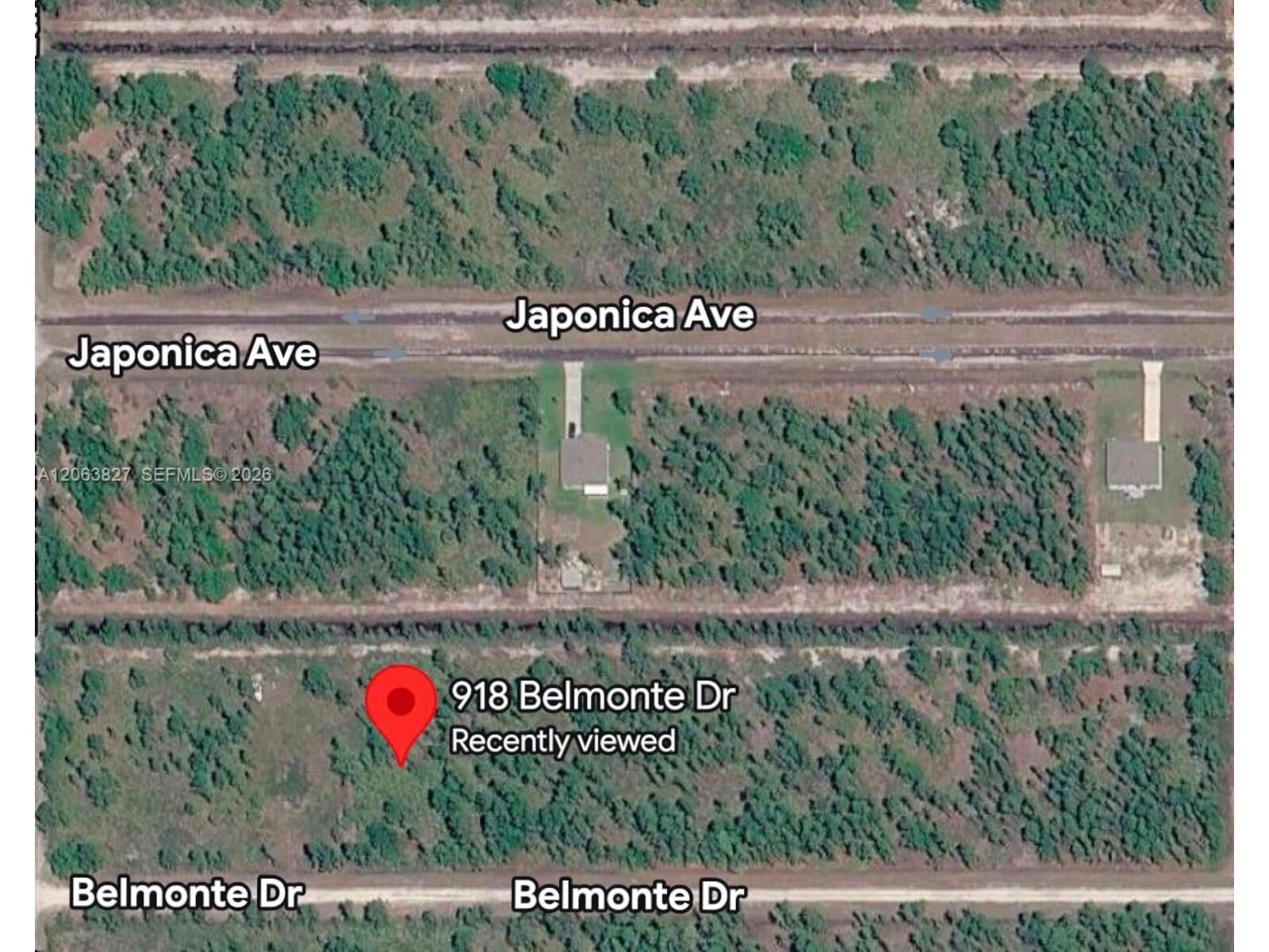 Image - 1