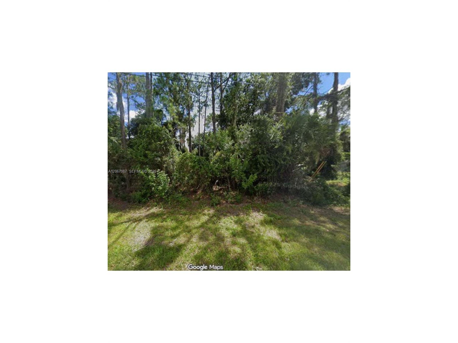 Image - 1
