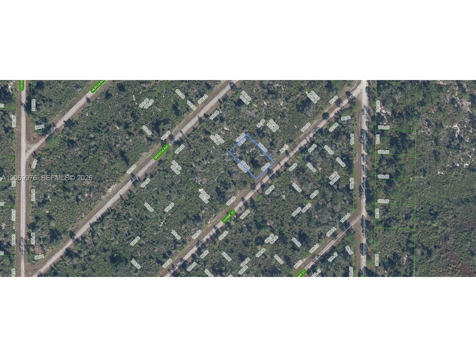 Image - 1