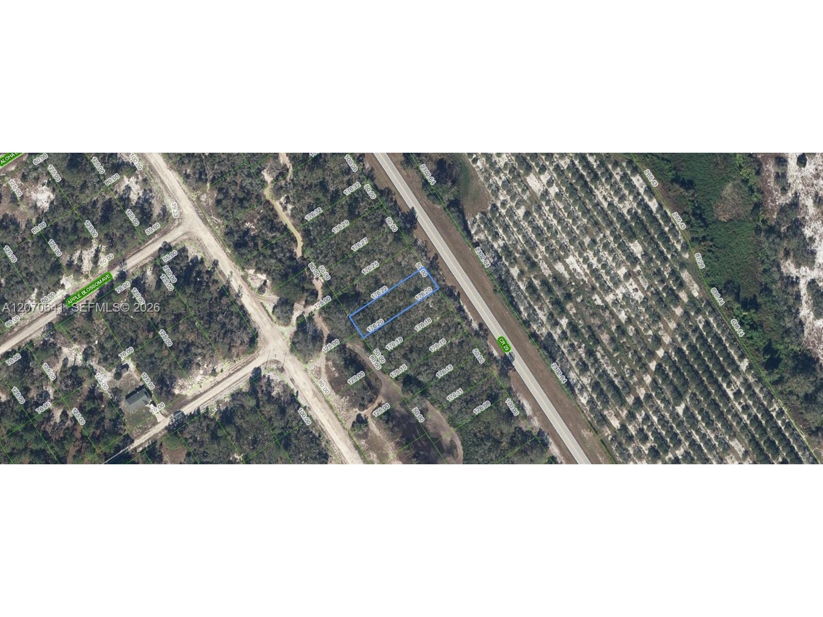 Image - 1