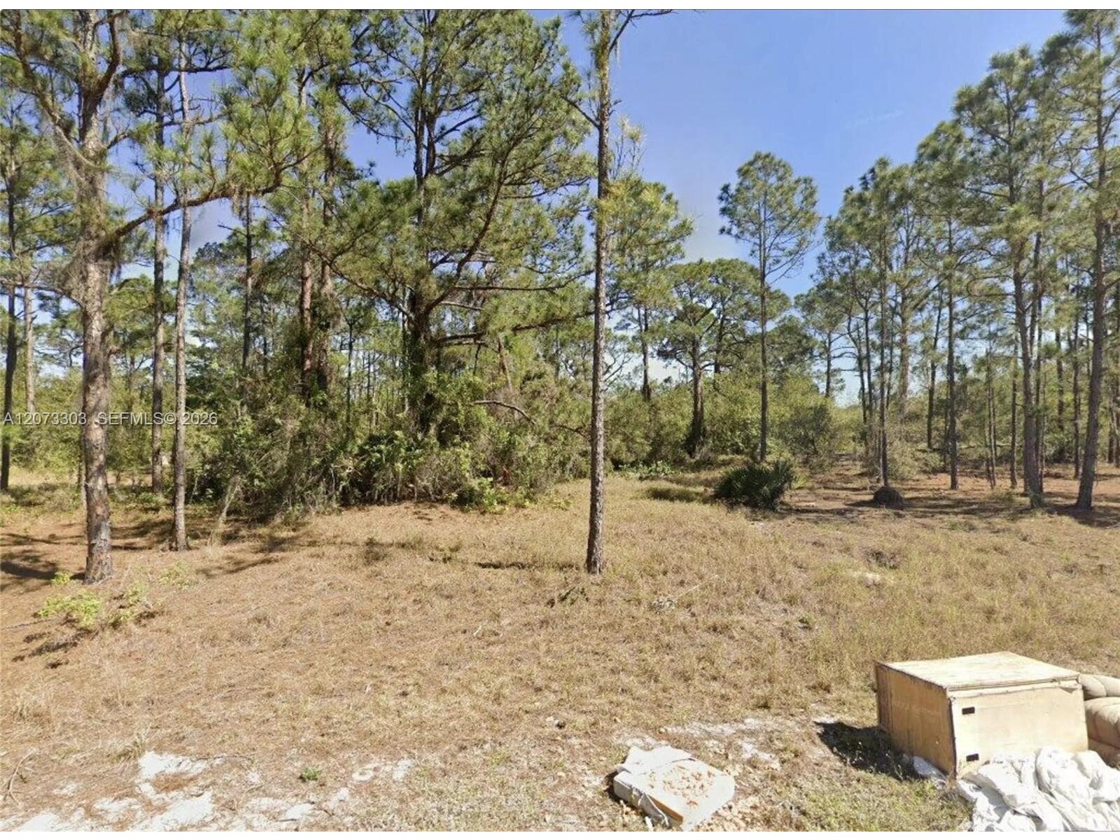 Image - 1