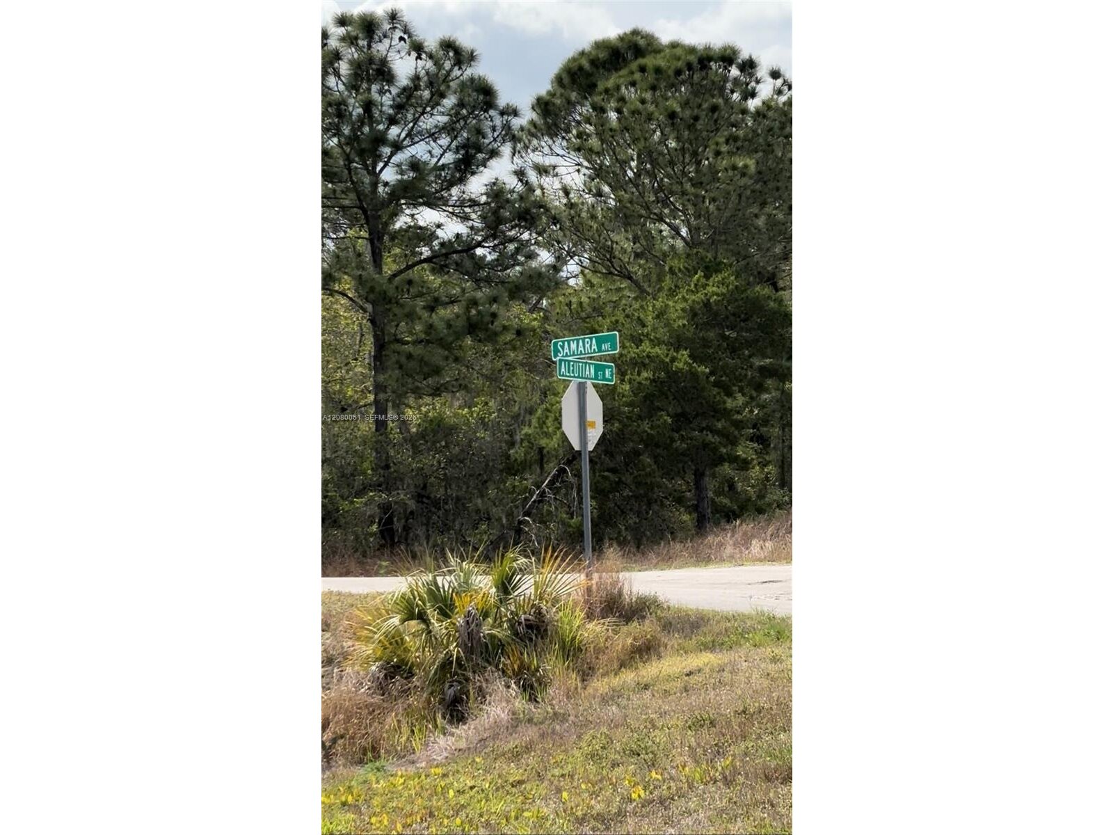 Image - 1