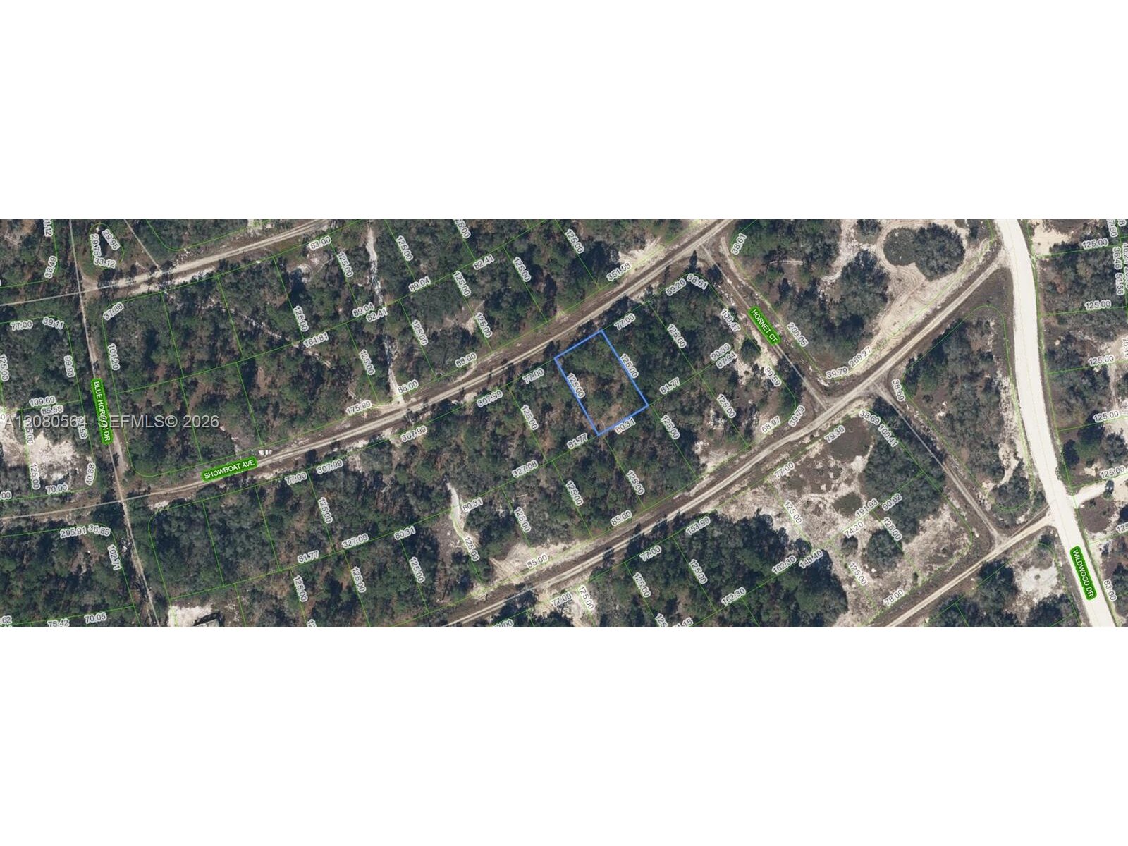 Image - 1
