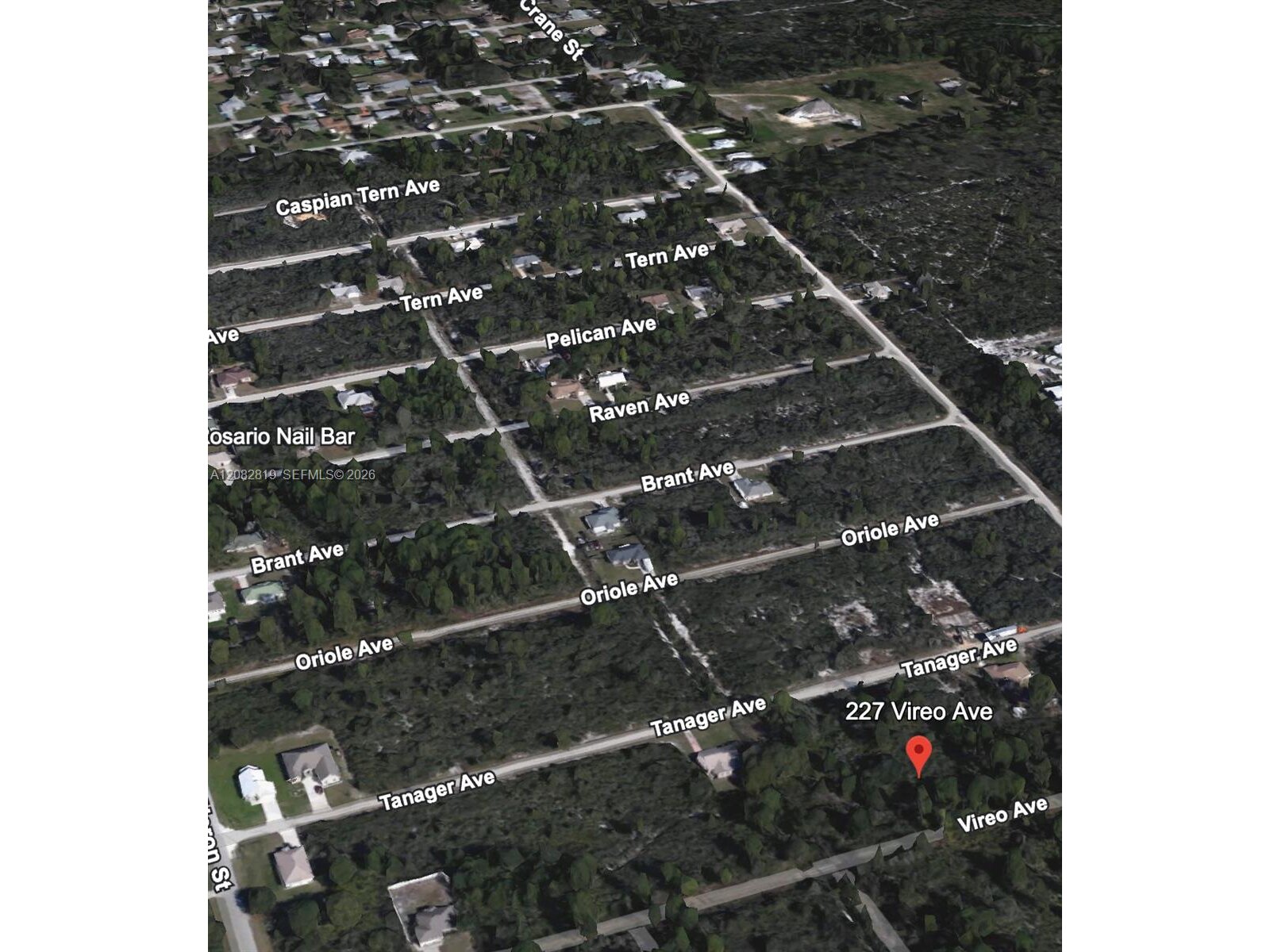Image - 1