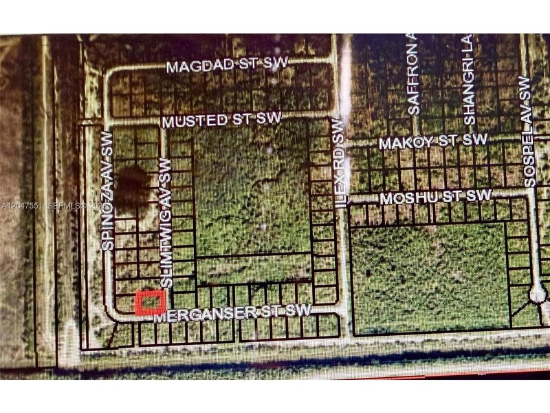 Listing image