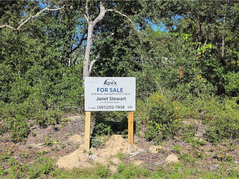 Listing image