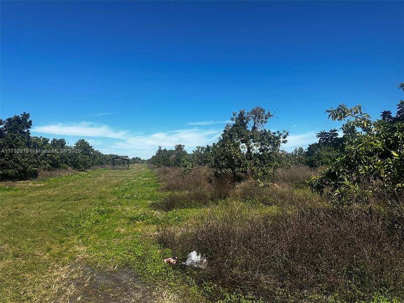 Image - 1