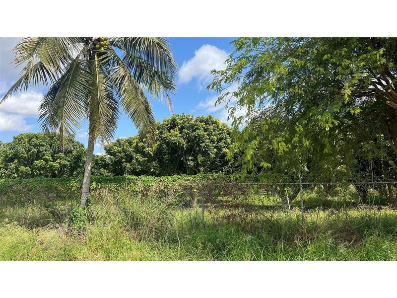 Image - 1