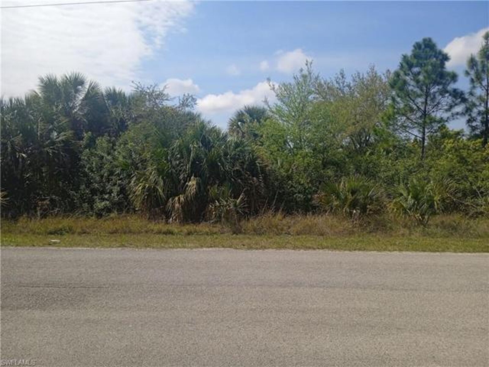 Image - 1
