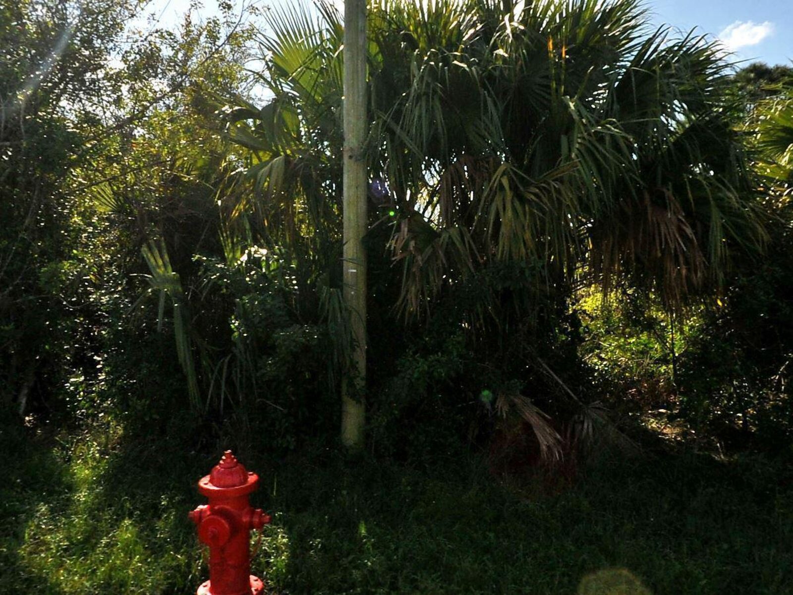 Image - 1