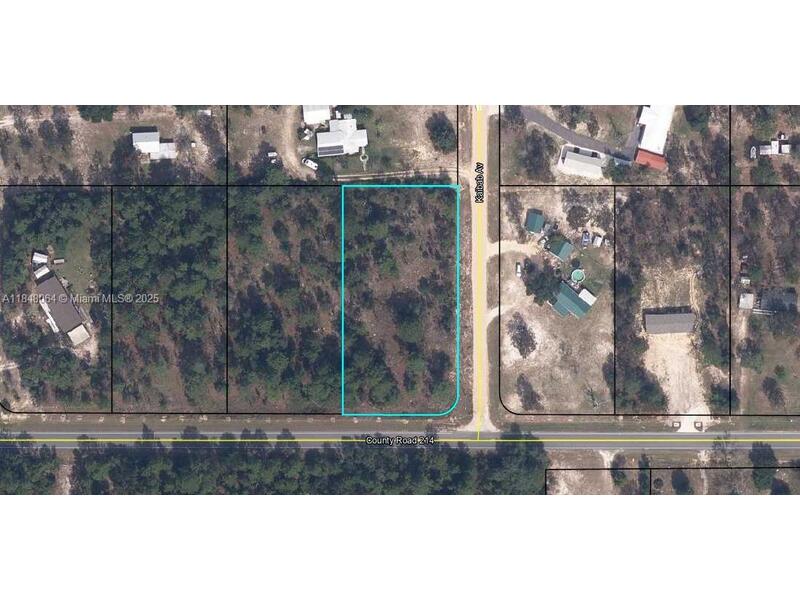 Image - 1