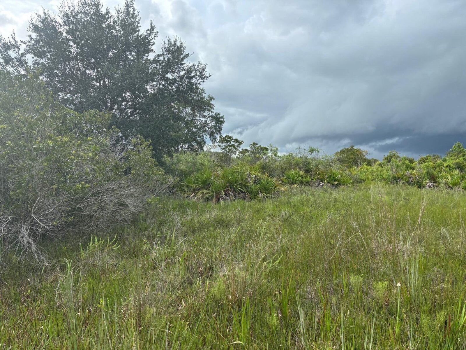 Image - 1