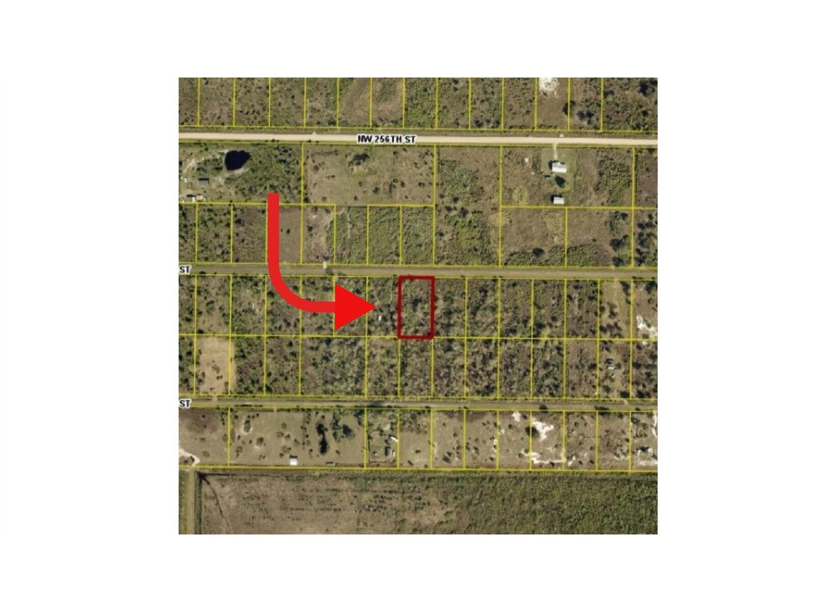 Image - 1
