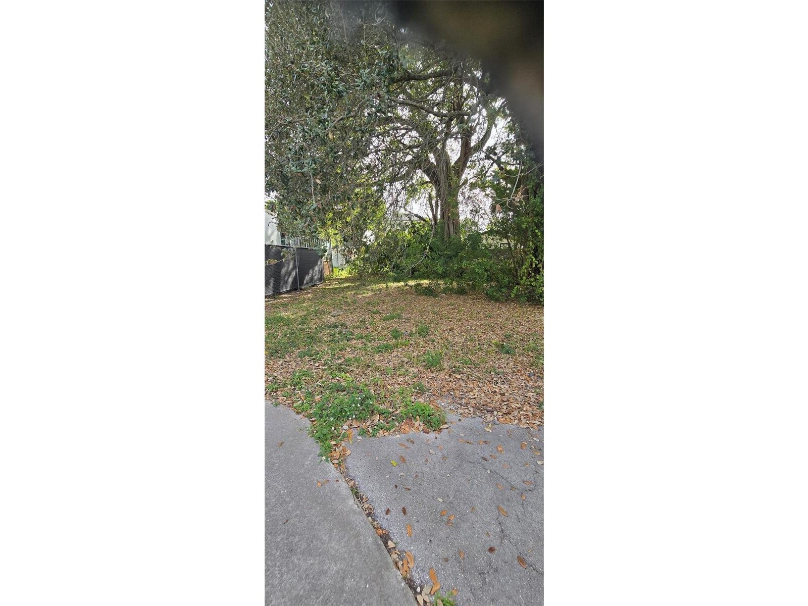 Image - 1