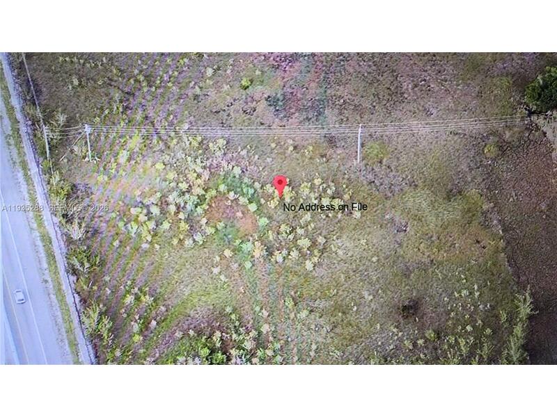 Image - 1