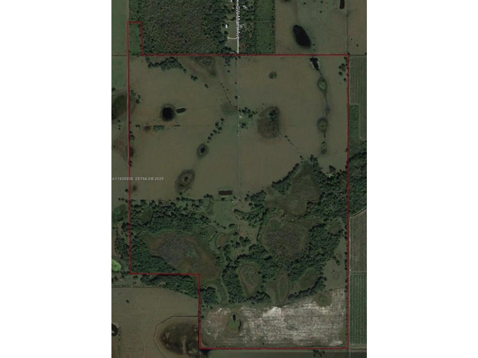 Image - 1