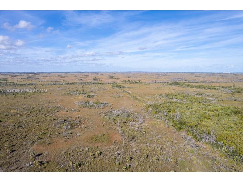 Image - 1