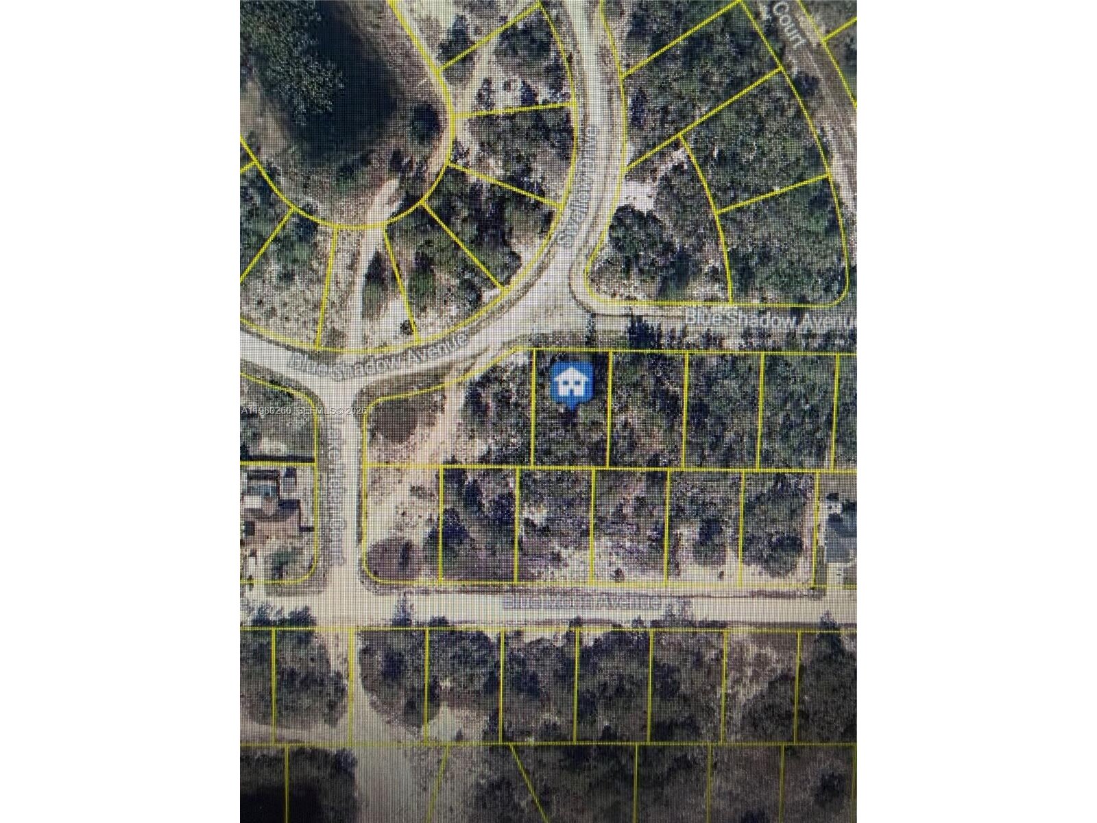 Image - 1