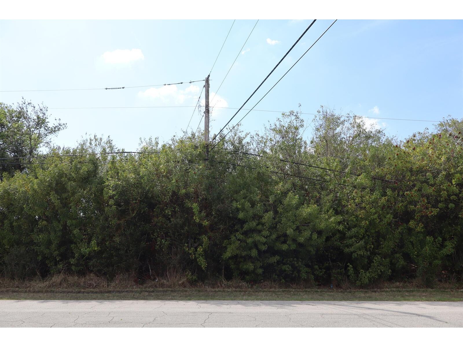 Image - 1