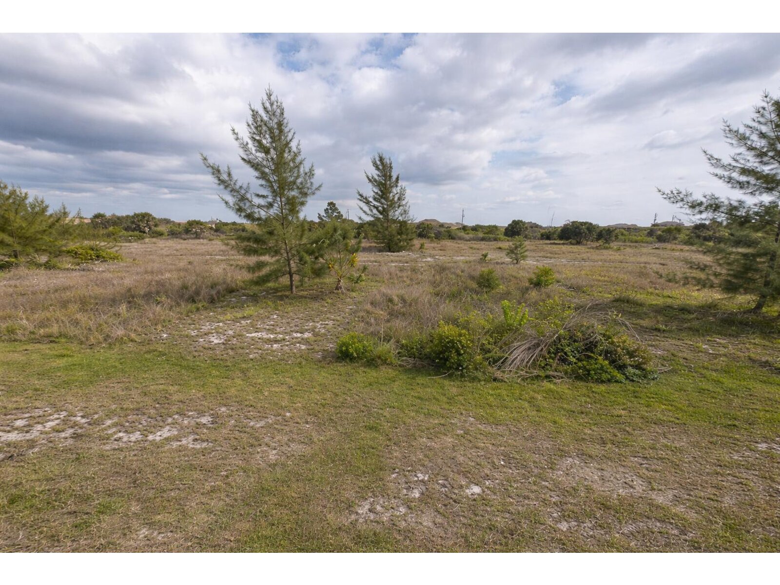 Image - 1
