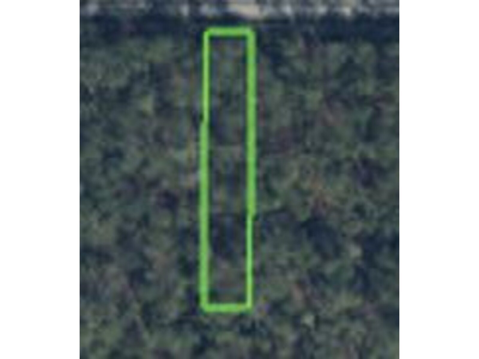 Image - 1