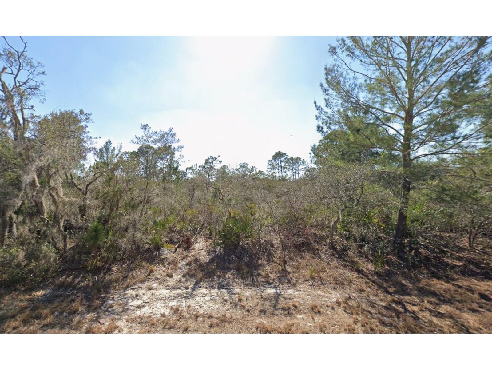 Image - 1