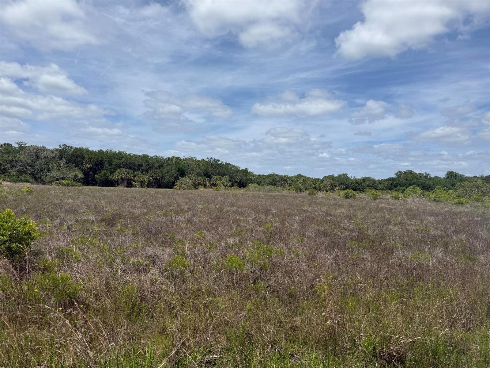 Image - 1