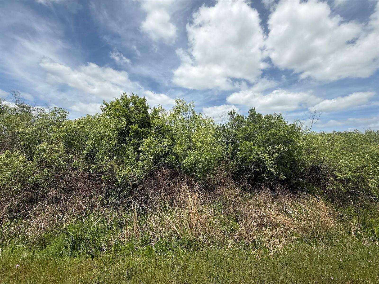 Image - 1