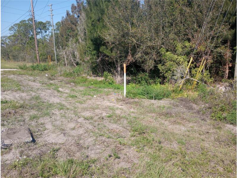 Image - 1