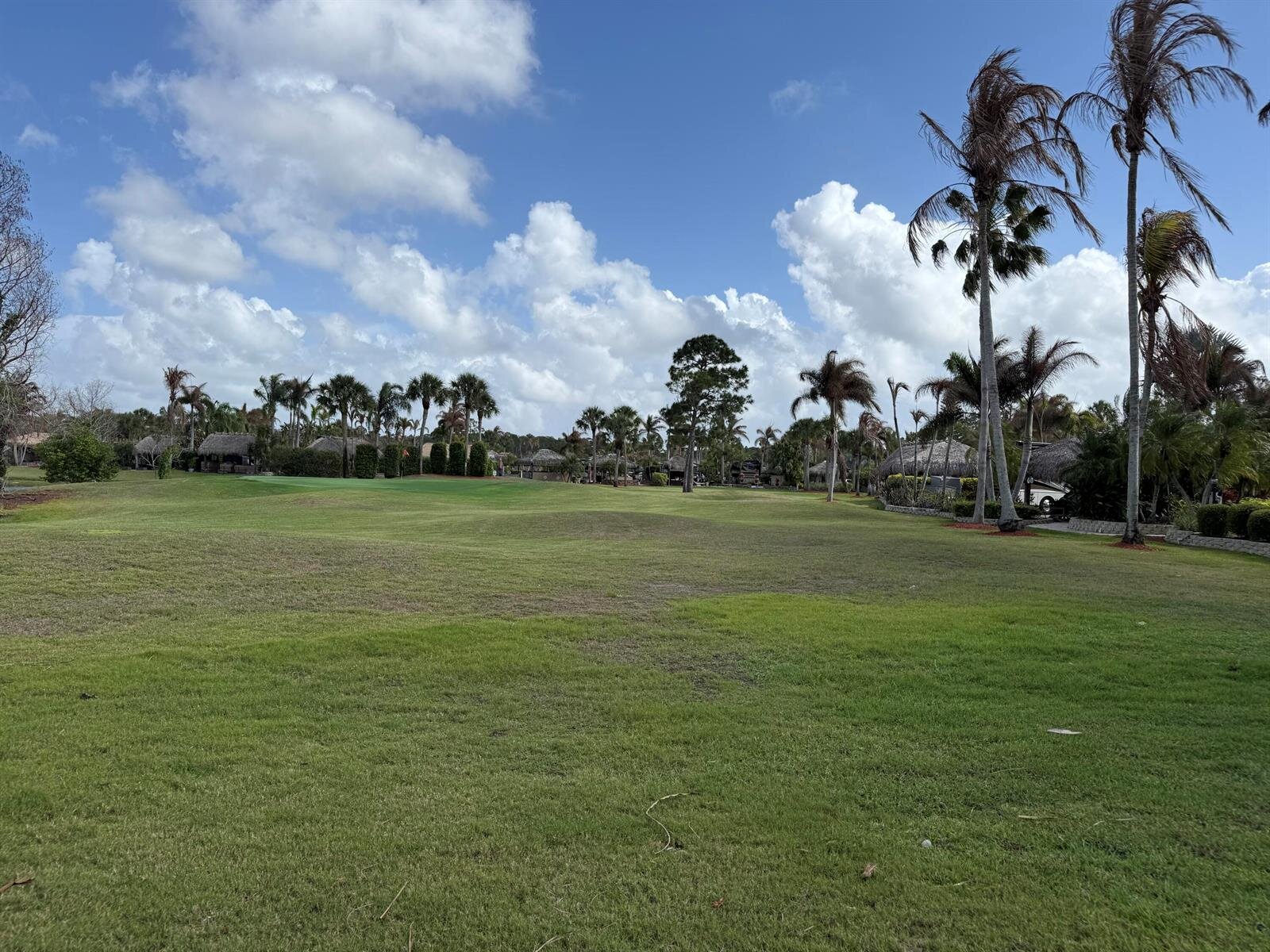 Image - 1