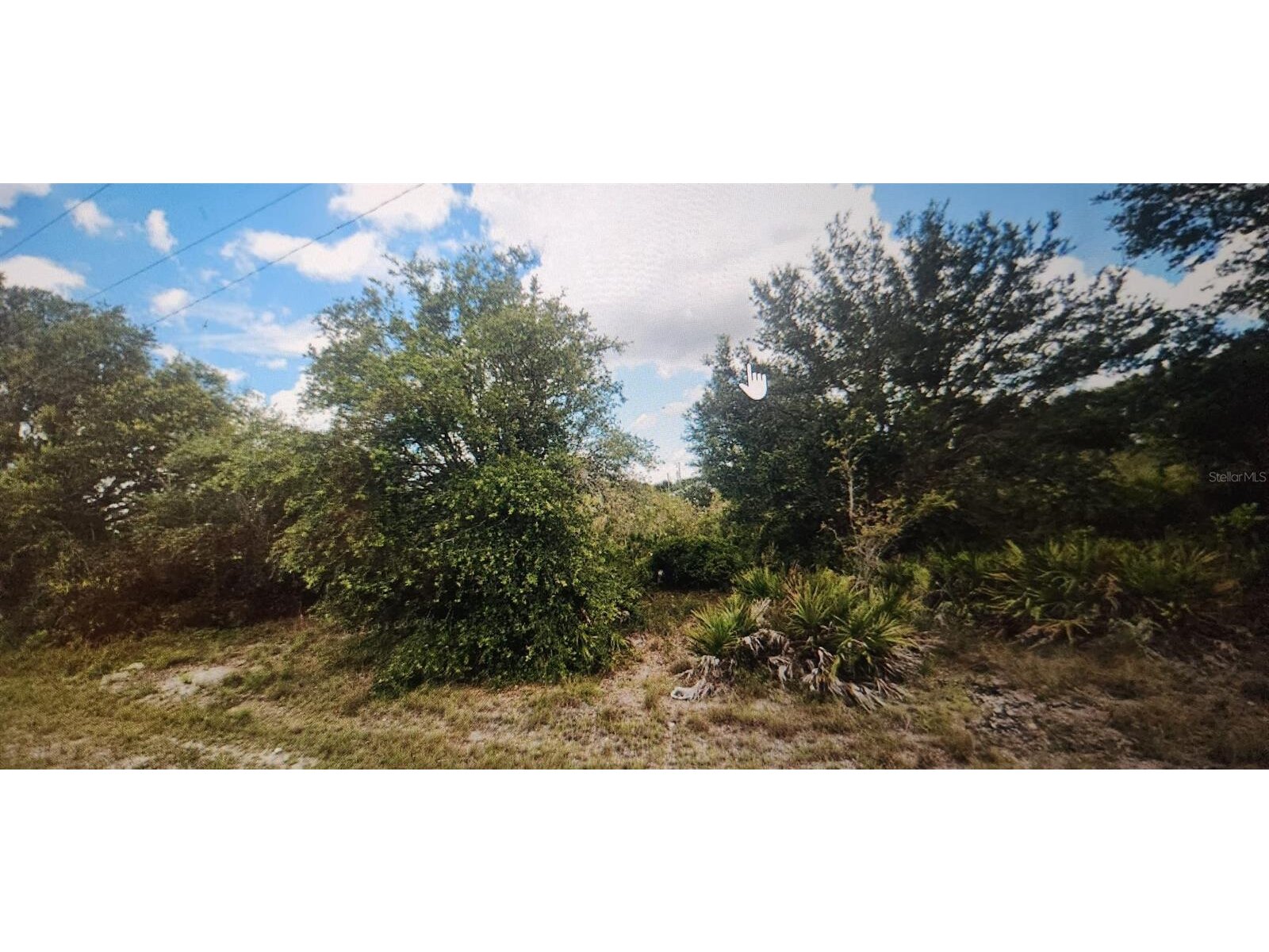 Image - 1
