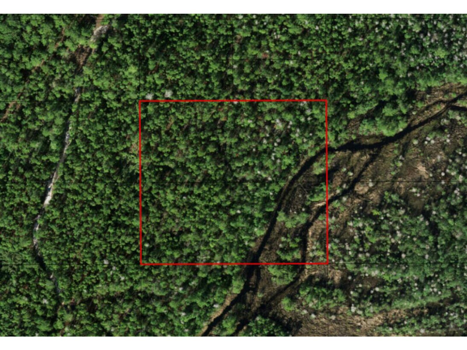 Image - 1