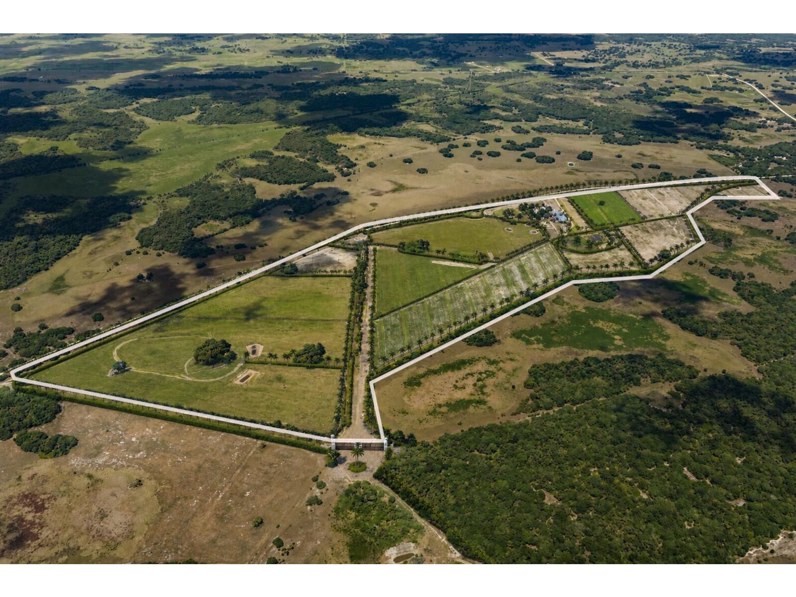 Image - 1