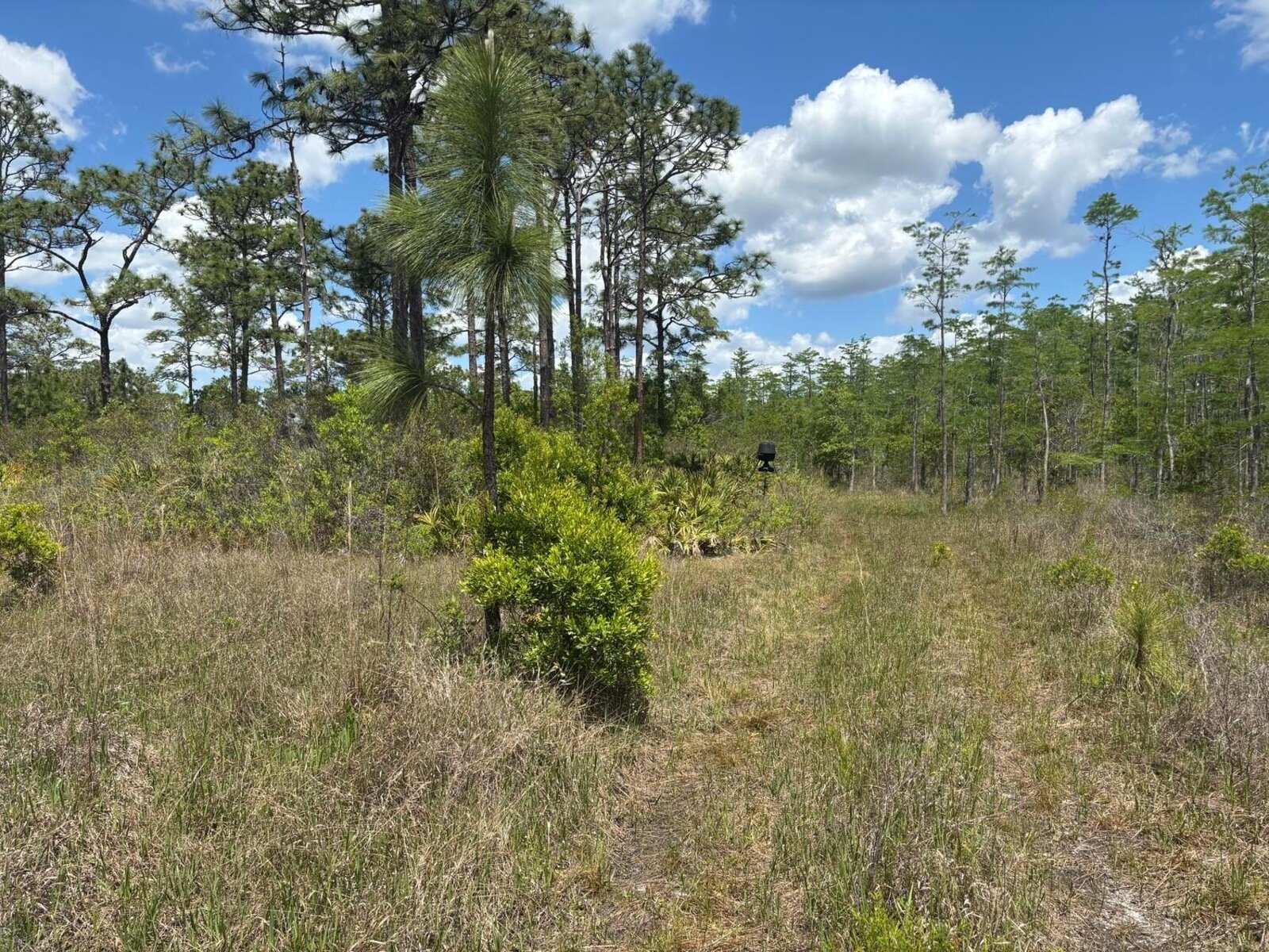 Image - 1