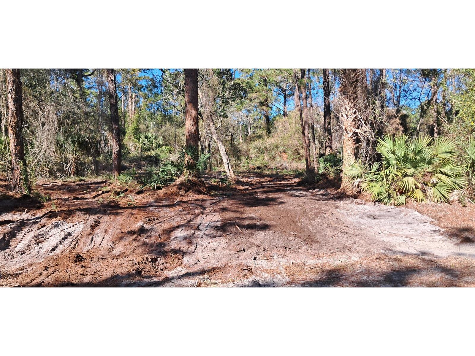 Image - 1