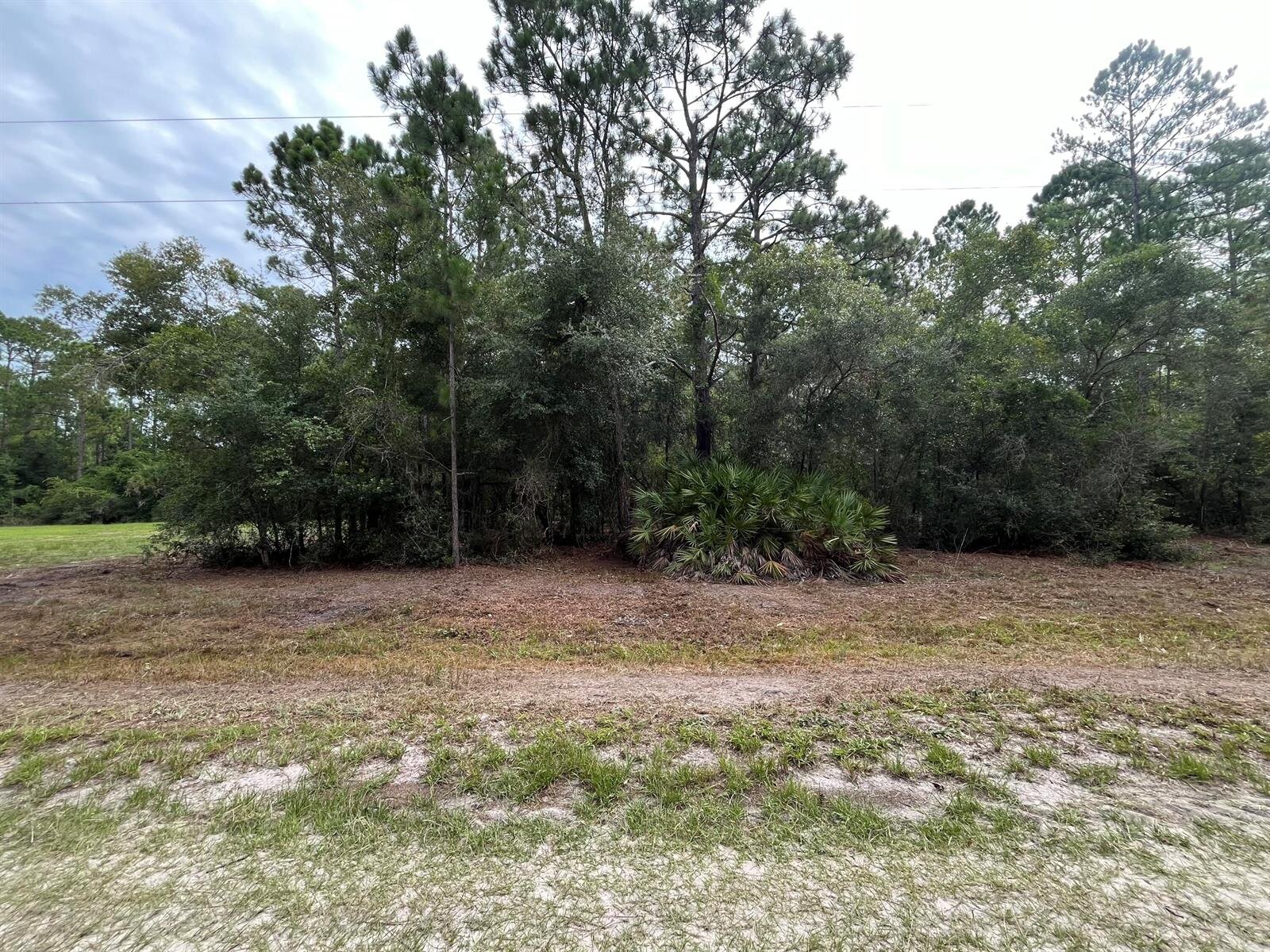 Image - 1