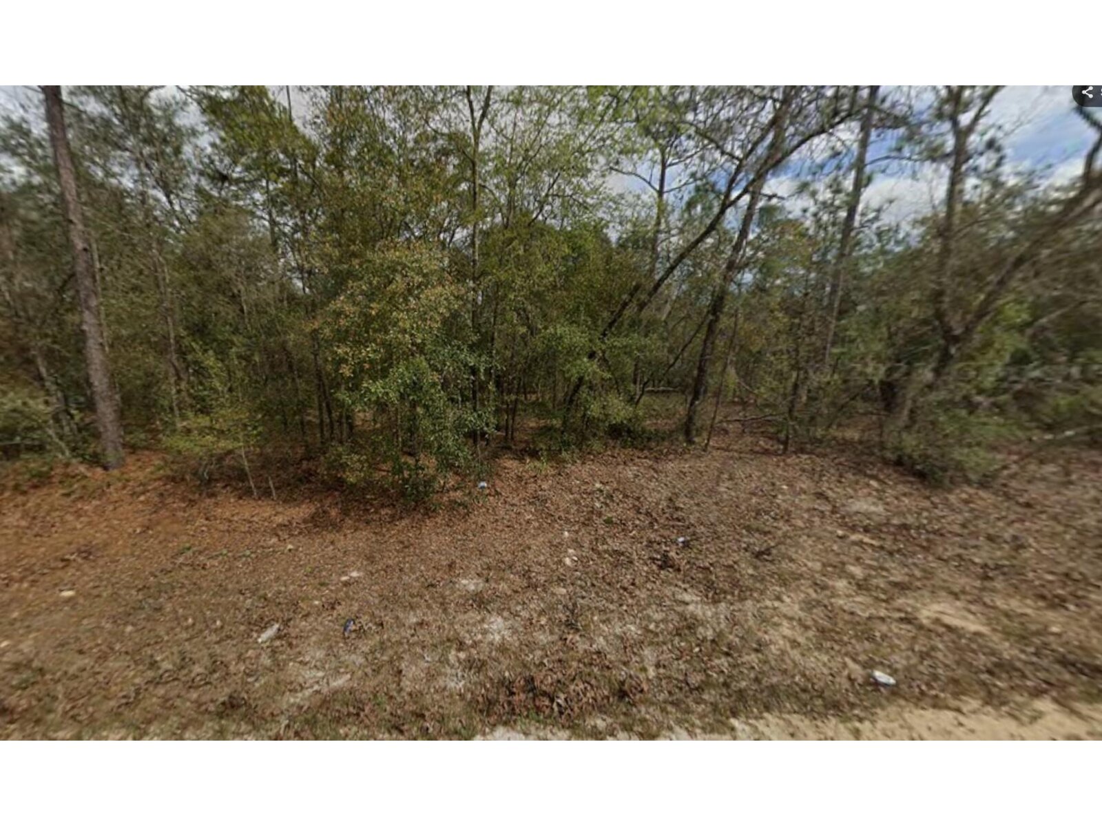 Image - 1