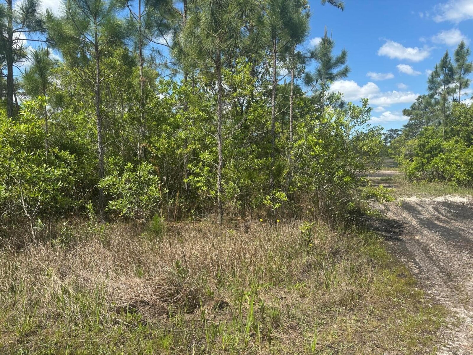 Image - 1