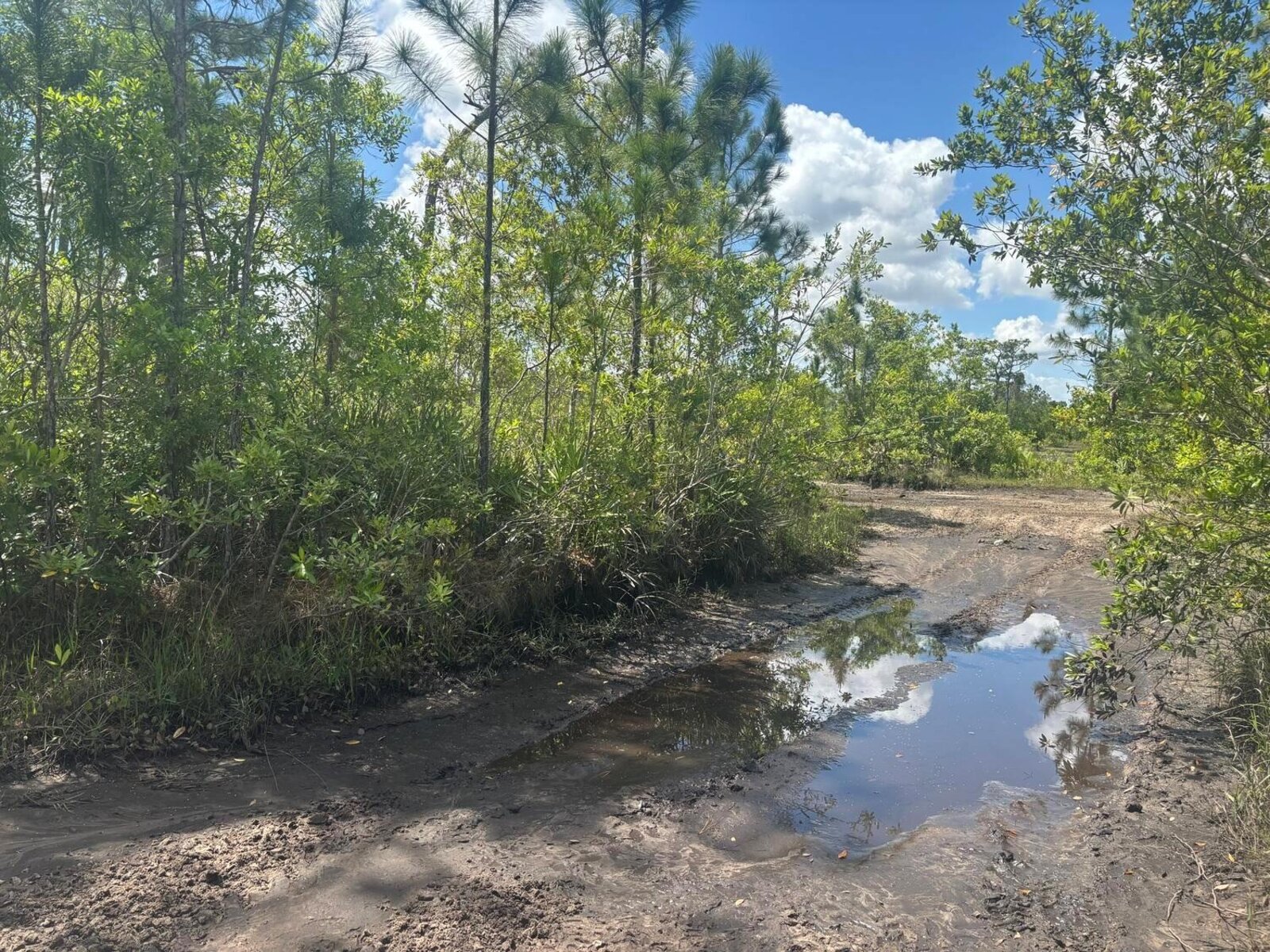 Image - 1