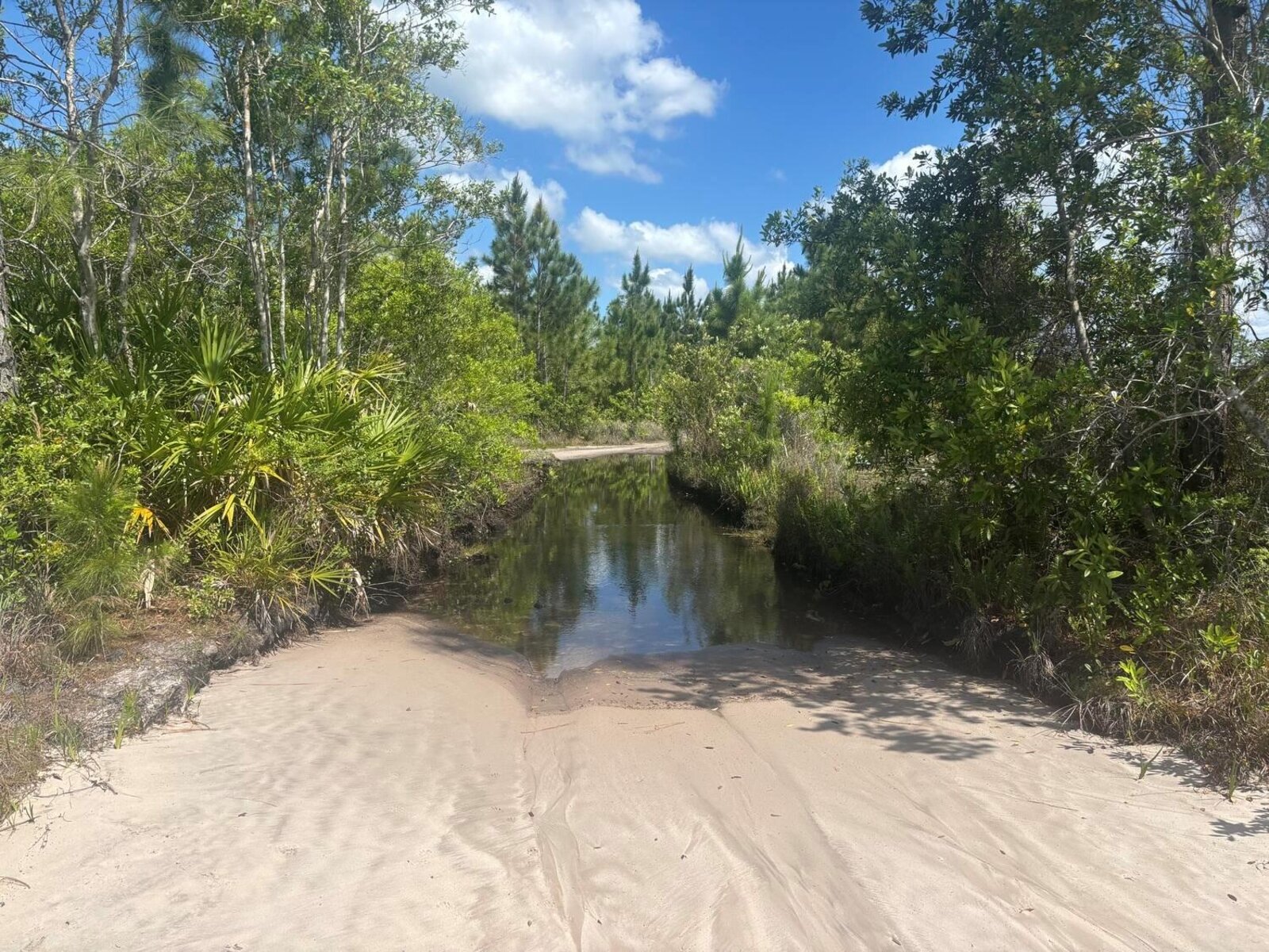 Image - 1