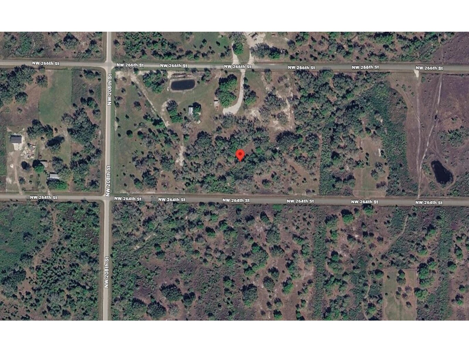 Image - 1