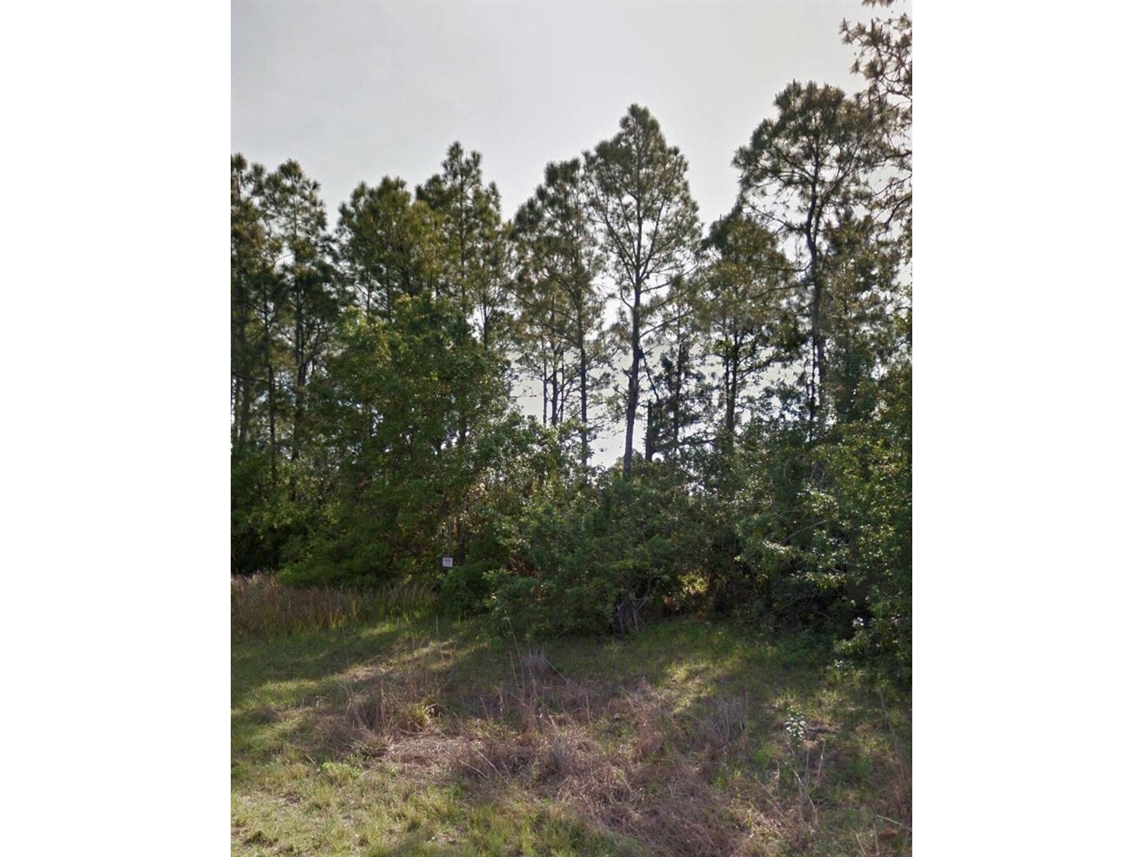Image - 1