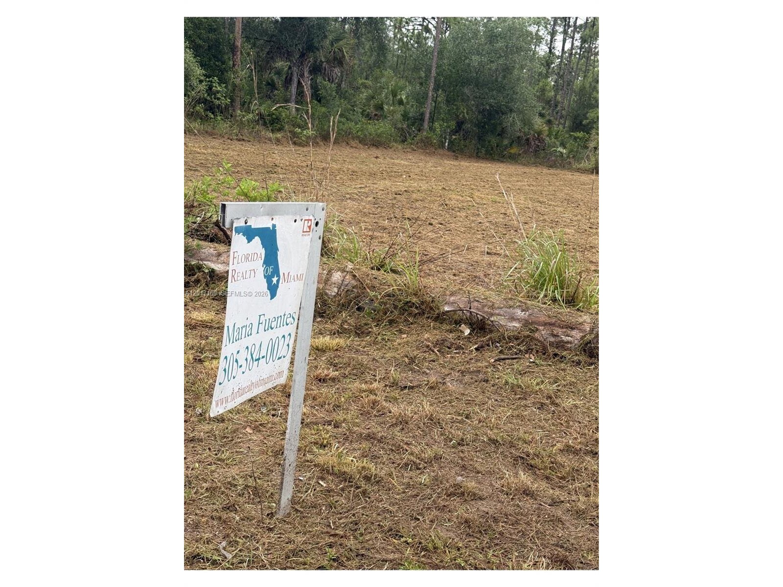 Image - 1