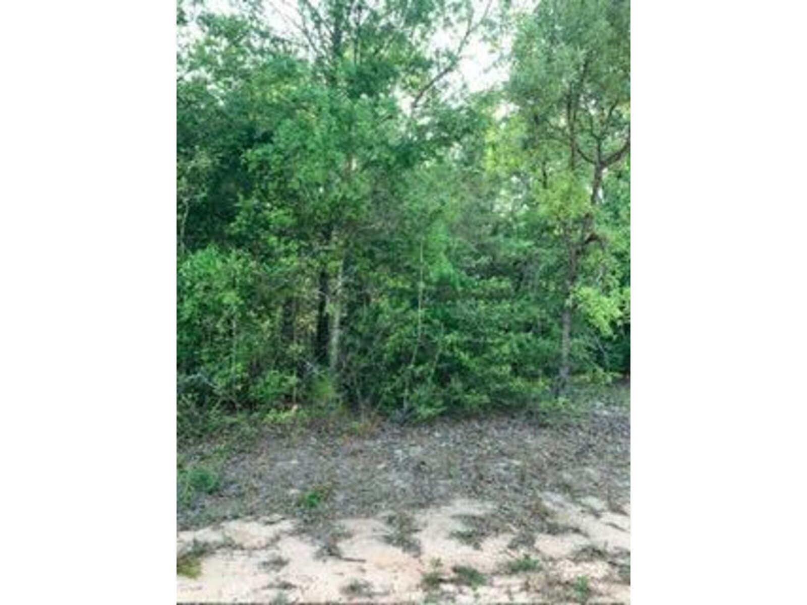 Image - 1